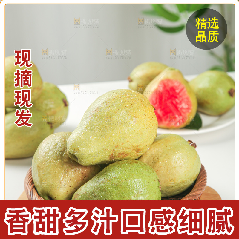 浅底上的红心芭乐