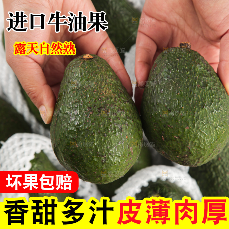 浅底上的牛油果