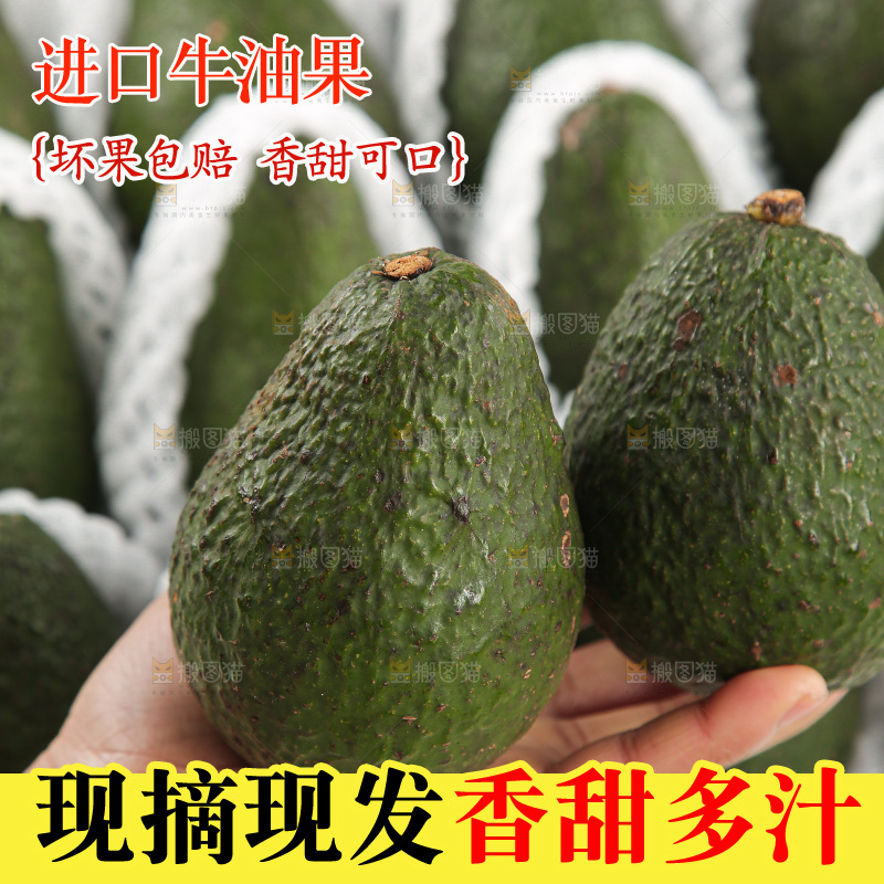 浅底上的牛油果
