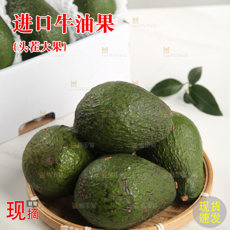浅底上的牛油果