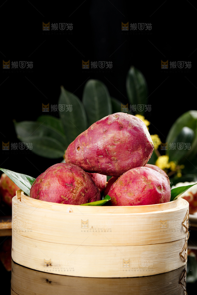 白心板栗薯