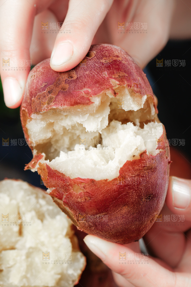 白心板栗薯