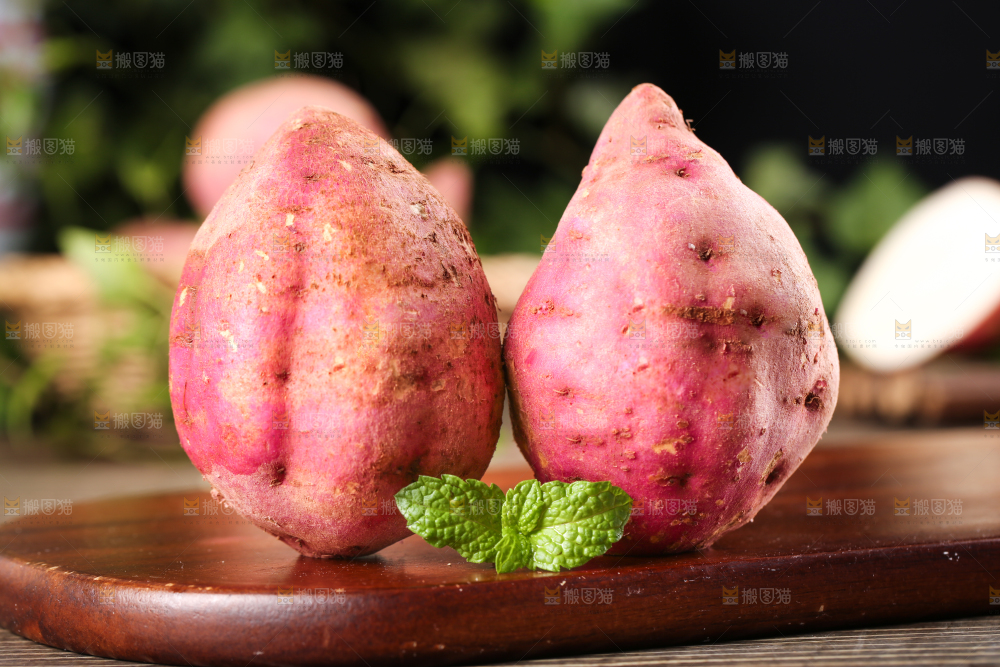 白心板栗薯