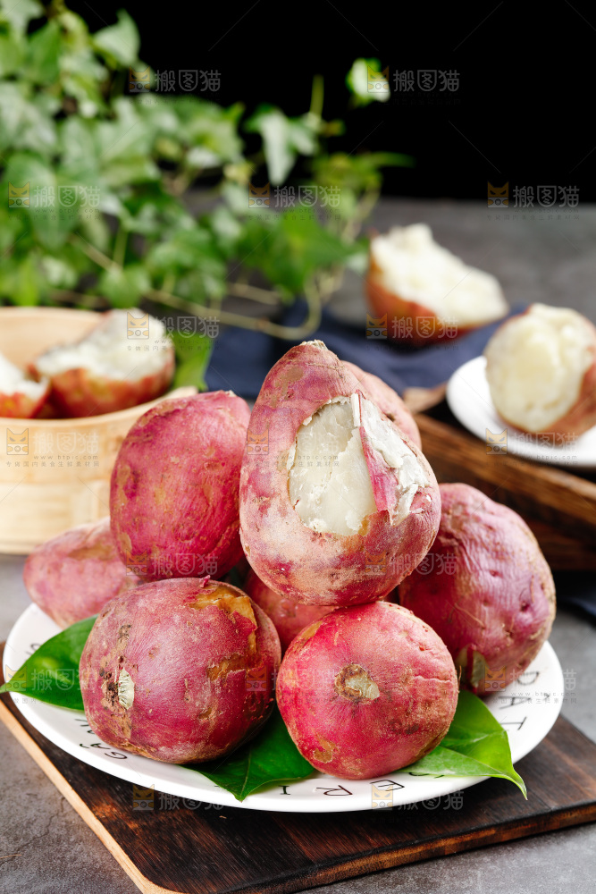 白心板栗薯