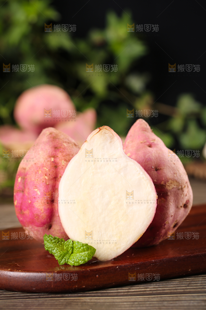 白心板栗薯