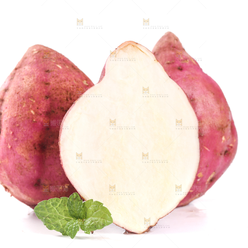 白底上的白心板栗薯