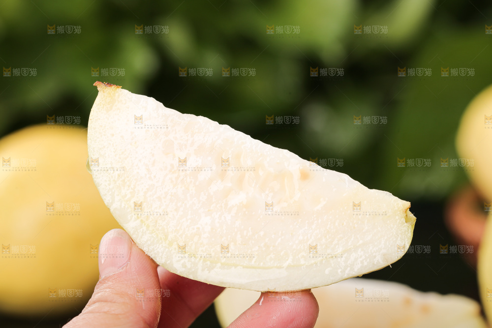 浅底上的奶油芭乐