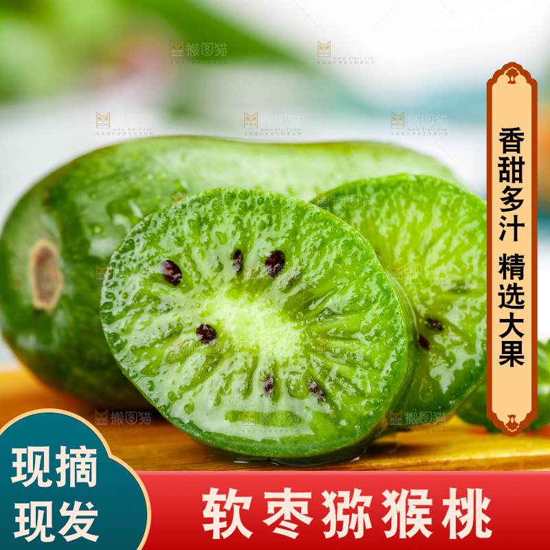 浅底上的软枣猕猴桃