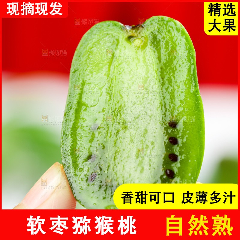 浅底上的软枣猕猴桃