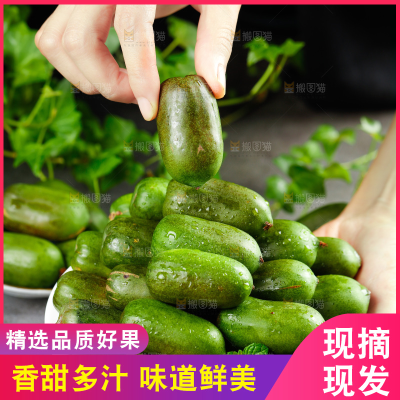 深底上的软枣猕猴桃