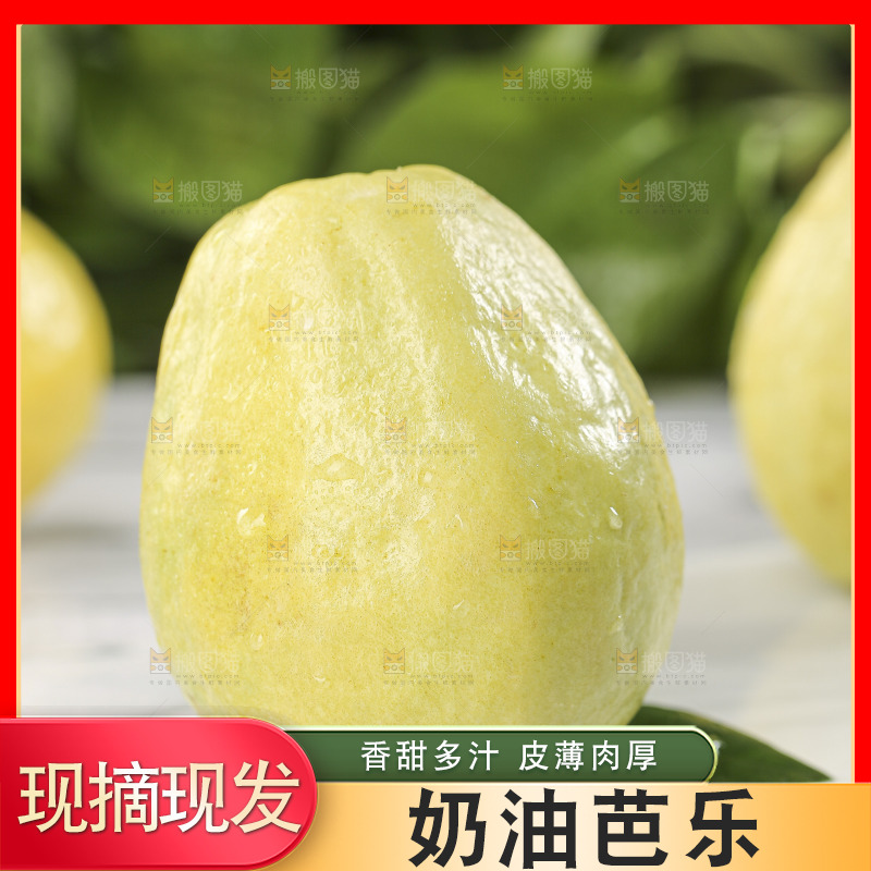 浅底上的奶油芭乐