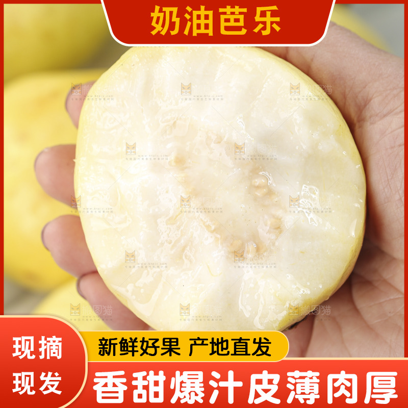 浅底上的奶油芭乐