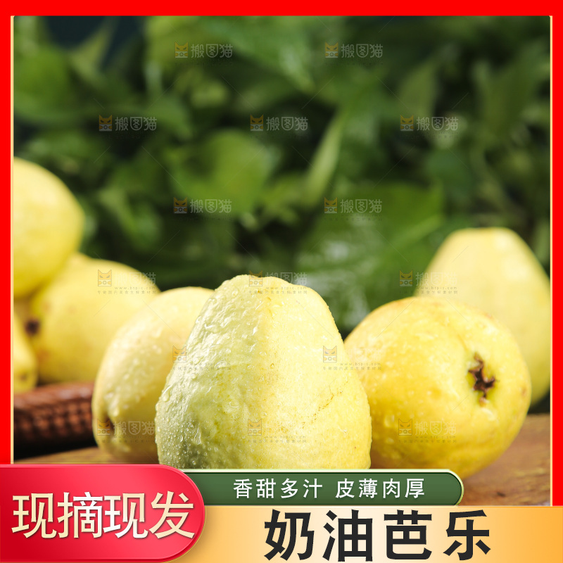 深底上的奶油芭乐
