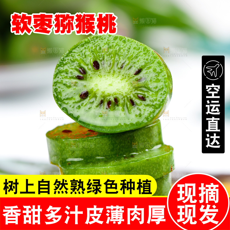 浅底上的软枣猕猴桃