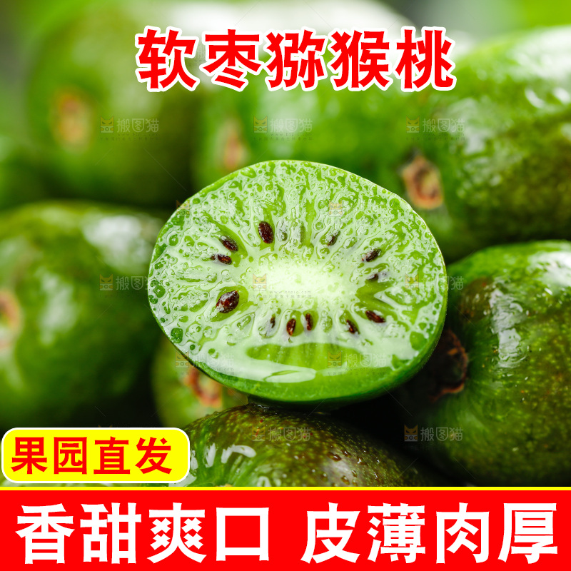 深底上的软枣猕猴桃