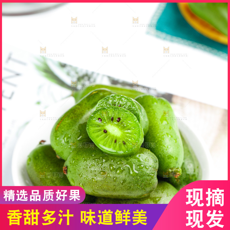 浅底上的软枣猕猴桃