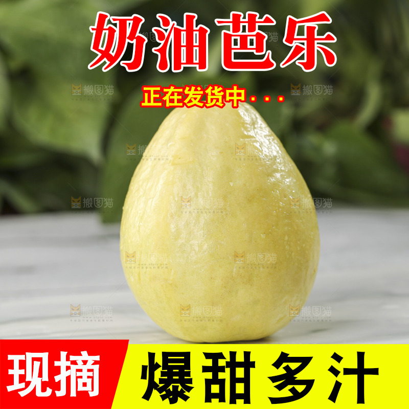 浅底上的奶油芭乐