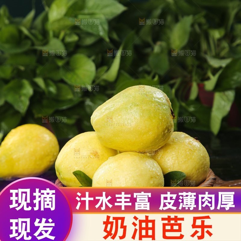 深底上的奶油芭乐