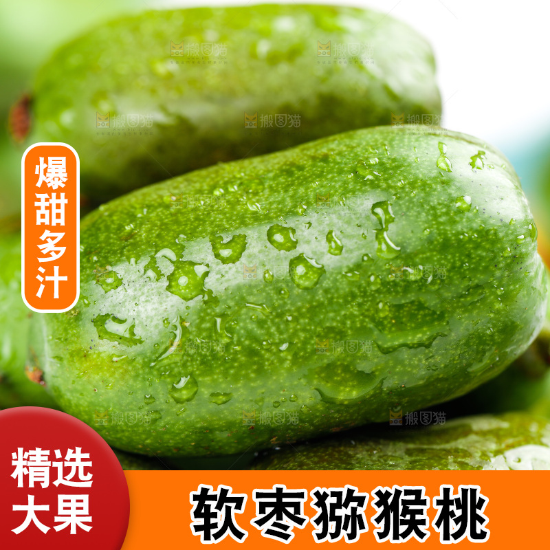 浅底上的软枣猕猴桃