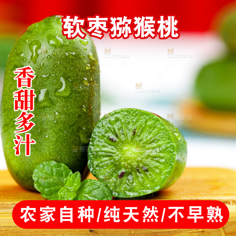 浅底上的软枣猕猴桃