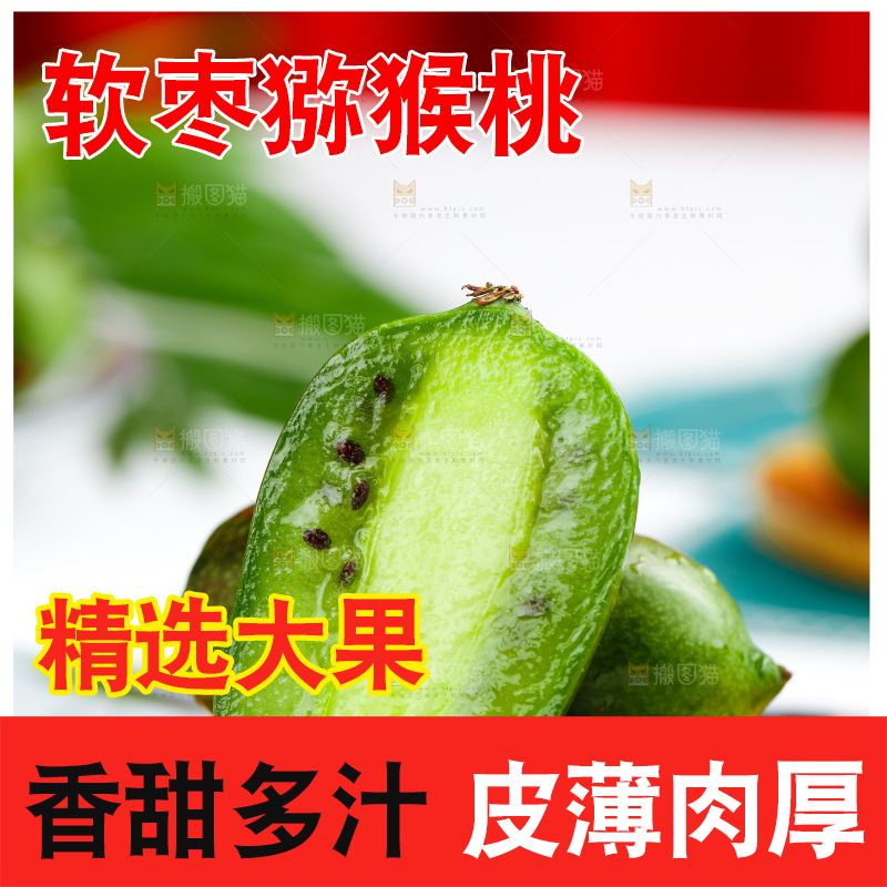 浅底上的软枣猕猴桃