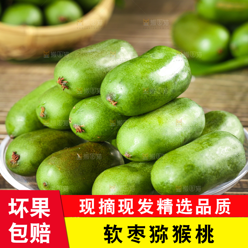 深底上的软枣猕猴桃