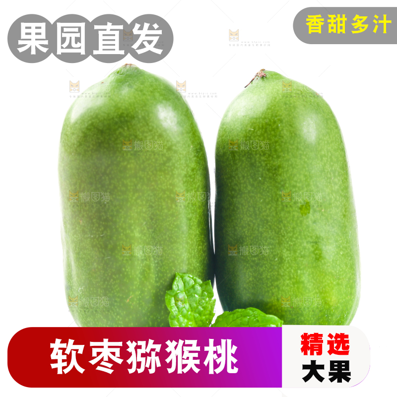 白底上的软枣猕猴桃