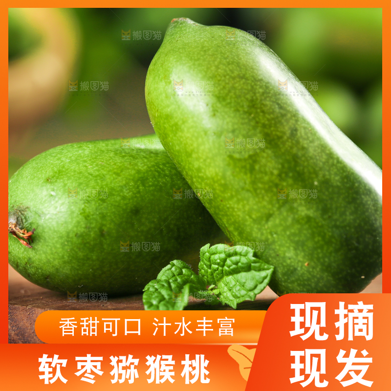 深底上的软枣猕猴桃
