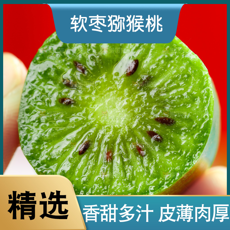 浅底上的软枣猕猴桃