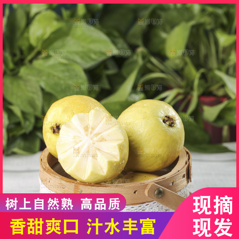 浅底上的奶油芭乐