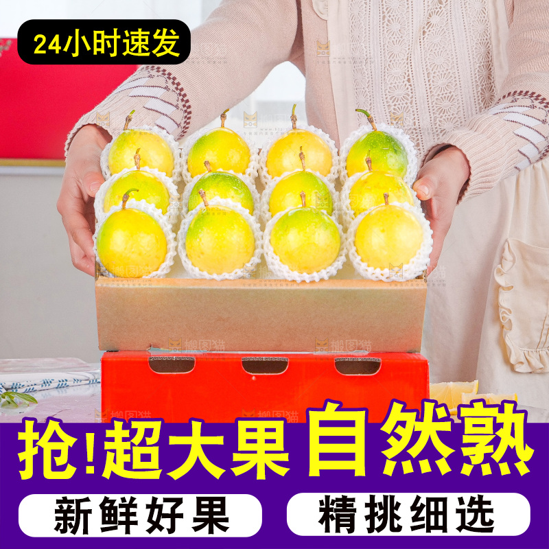 浅底上的花皮百香果