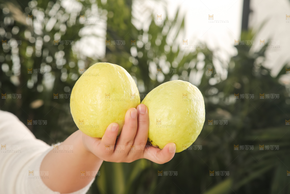深底上的白心芭乐