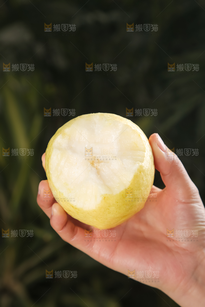 奶油芭乐