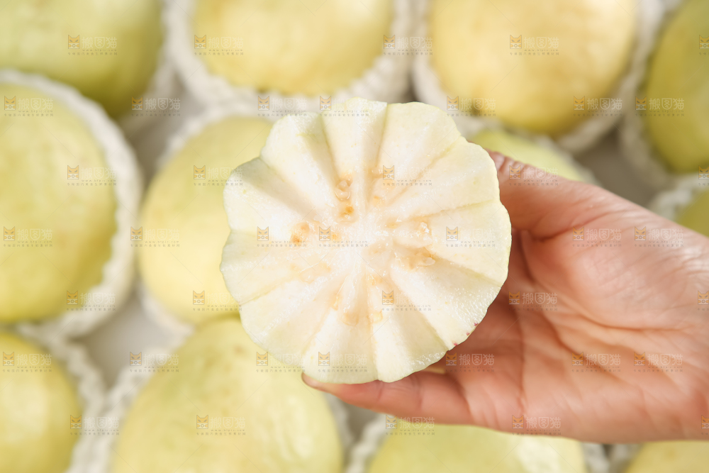 礼盒装的白心芭乐