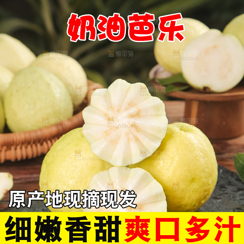 深底上的白心芭乐