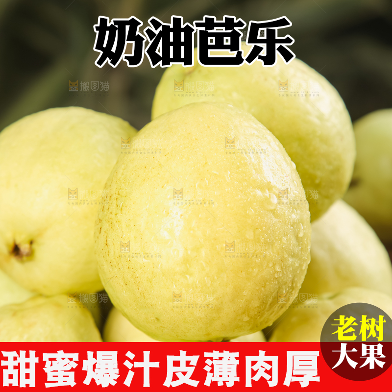 深底上的白心芭乐