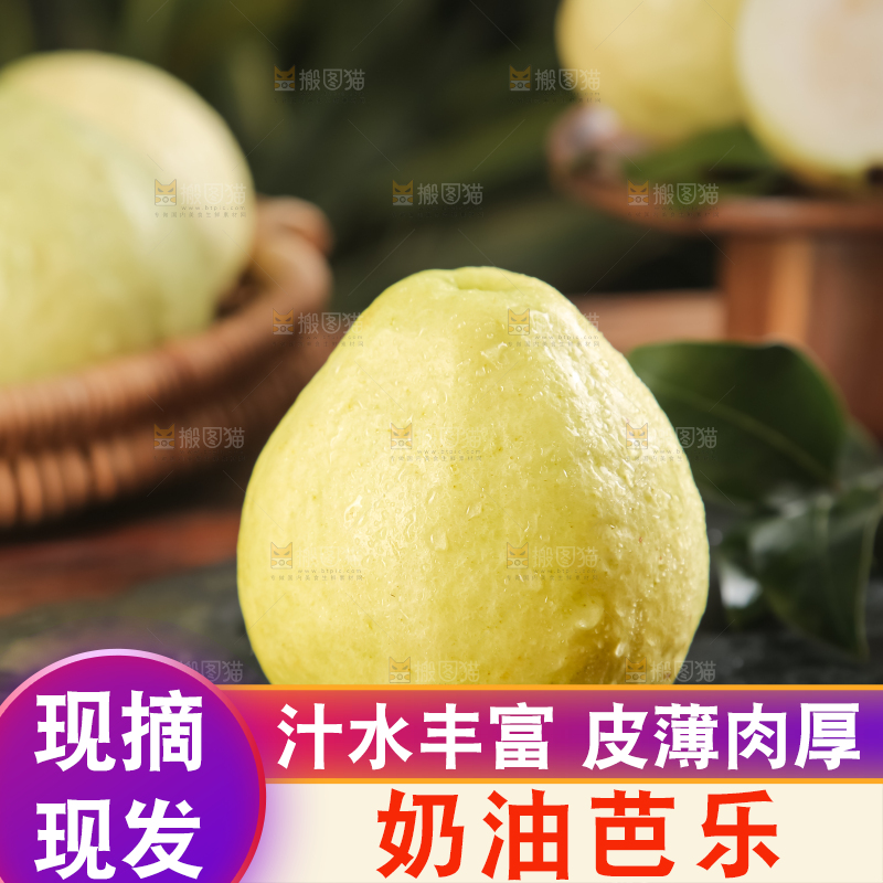 深底上的白心芭乐
