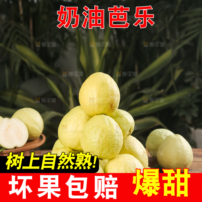深底上的白心芭乐