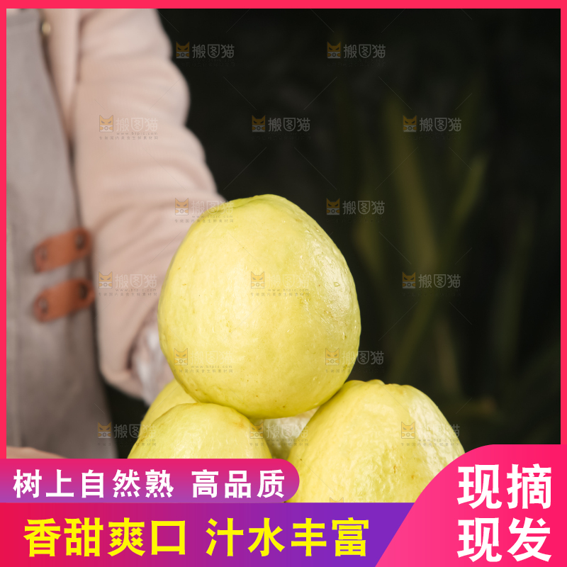 浅底上的白心芭乐