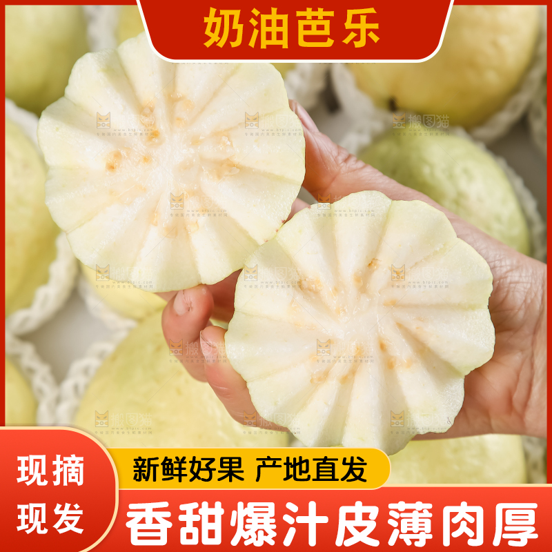礼盒装的白心芭乐
