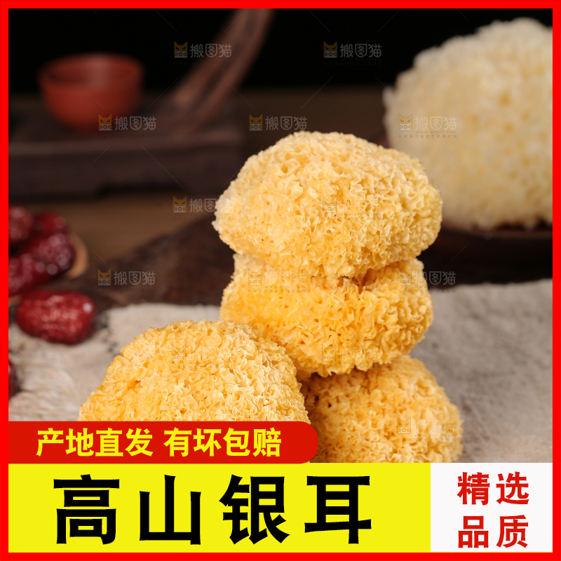 深底上的丑耳