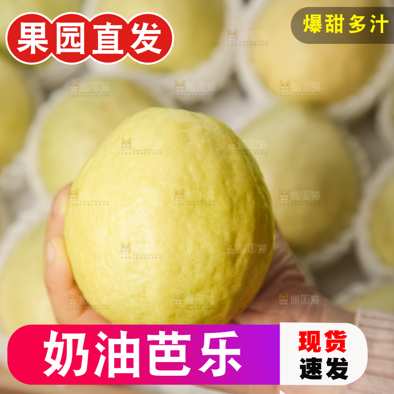礼盒装的白心芭乐