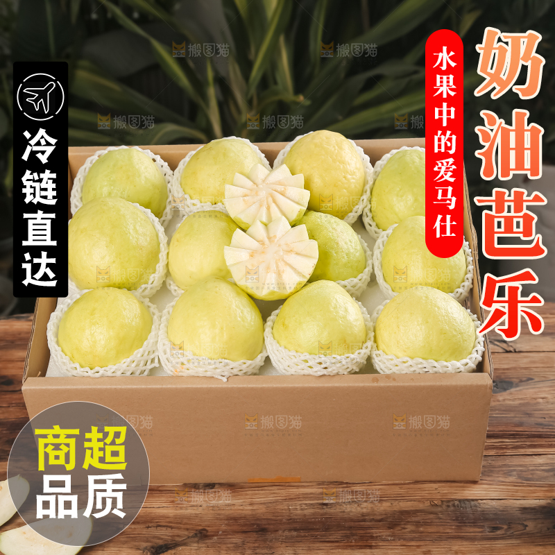礼盒装的白心芭乐