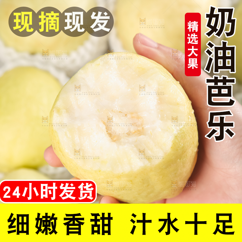 礼盒装的白心芭乐