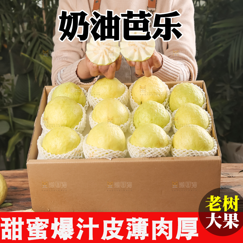 礼盒装的白心芭乐