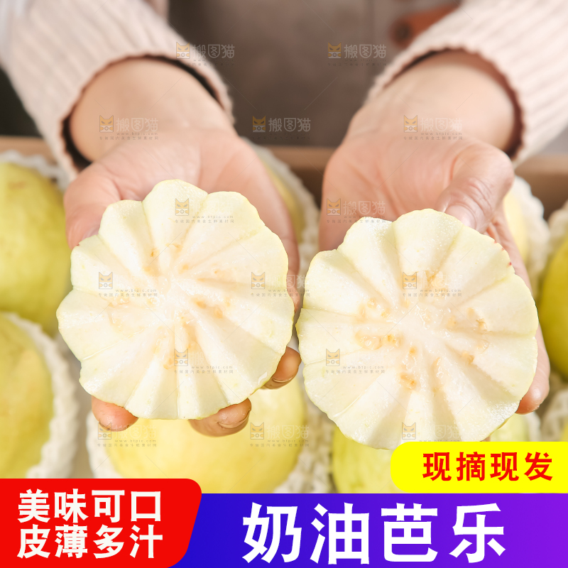 礼盒装的白心芭乐