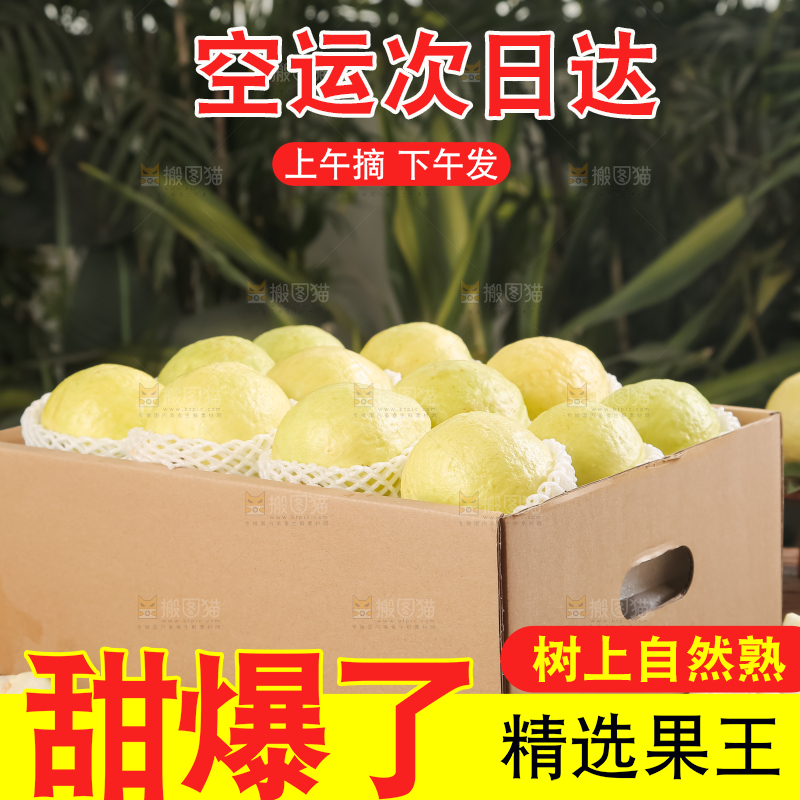 礼盒装的白心芭乐