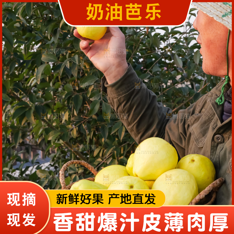 手里拿着白心芭乐