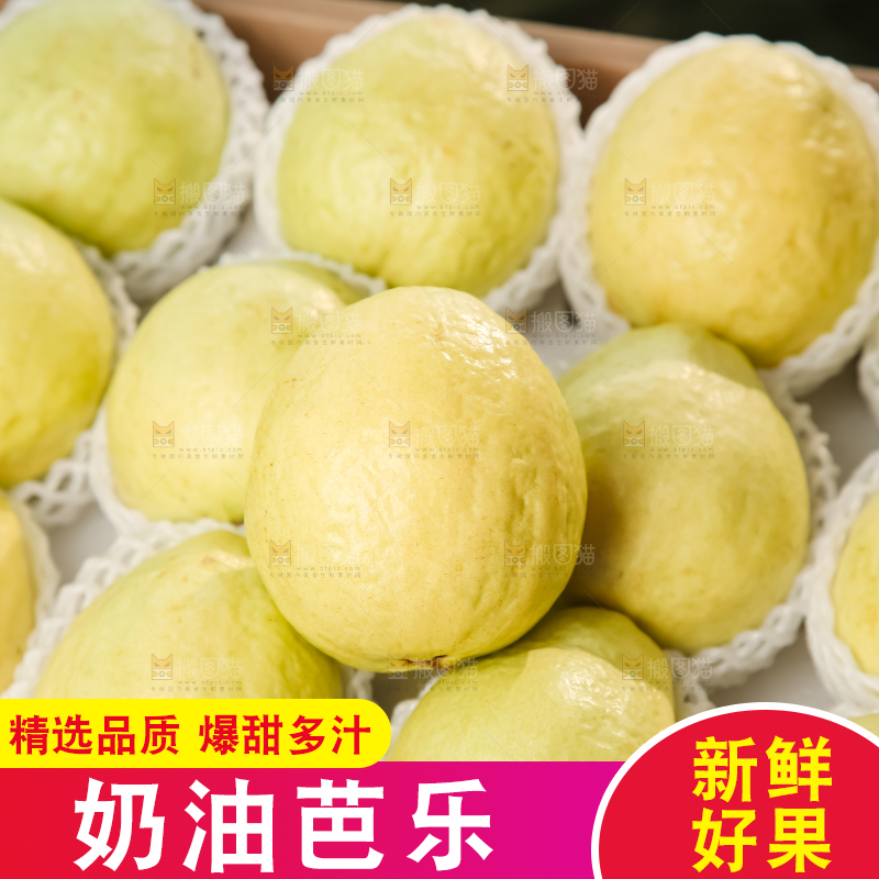 礼盒装的白心芭乐