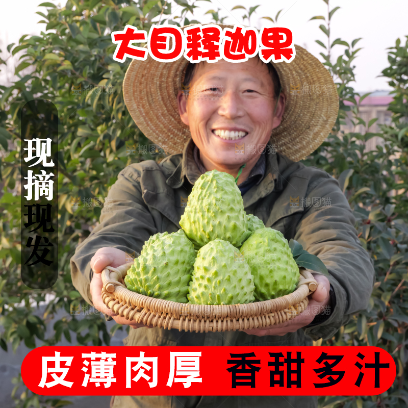 手里拿着释迦果